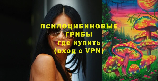 амф Пересвет
