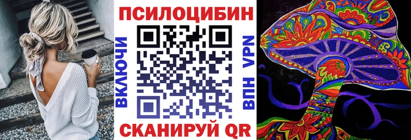 Псилоцибиновые грибы GOLDEN TEACHER  купить наркотики цена  Вятские Поляны 